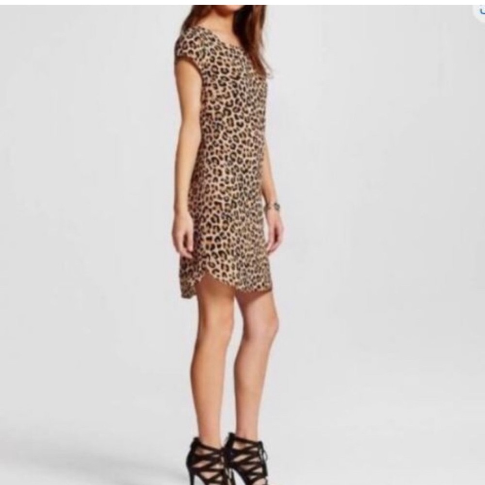 Leopard Print Shift Sheath Dress Medium